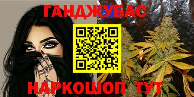 шишки Изобильный