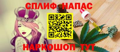 шишки Изобильный