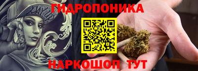 шишки Изобильный