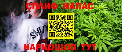 шишки Изобильный