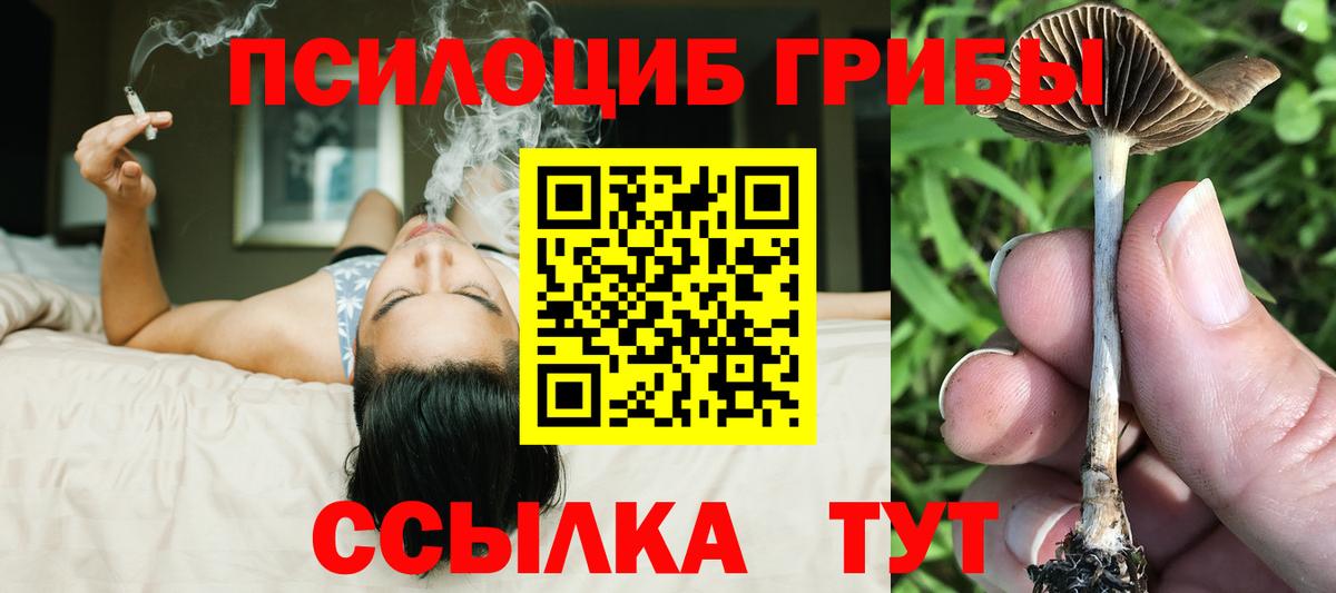 Кулебаки  Галлюциногенные грибы ЛСД  Вход с VPN 